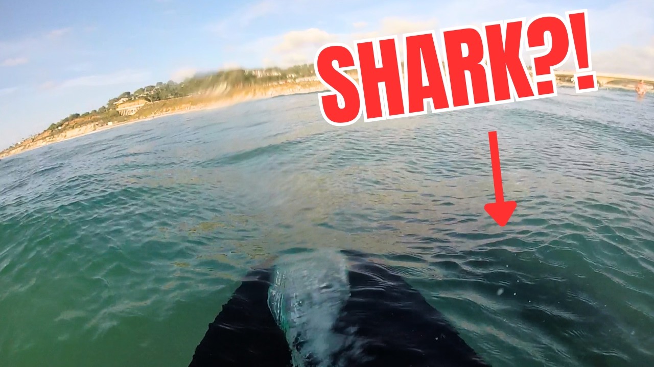 POV: WHAT WAS THAT?! | Surfing Scare