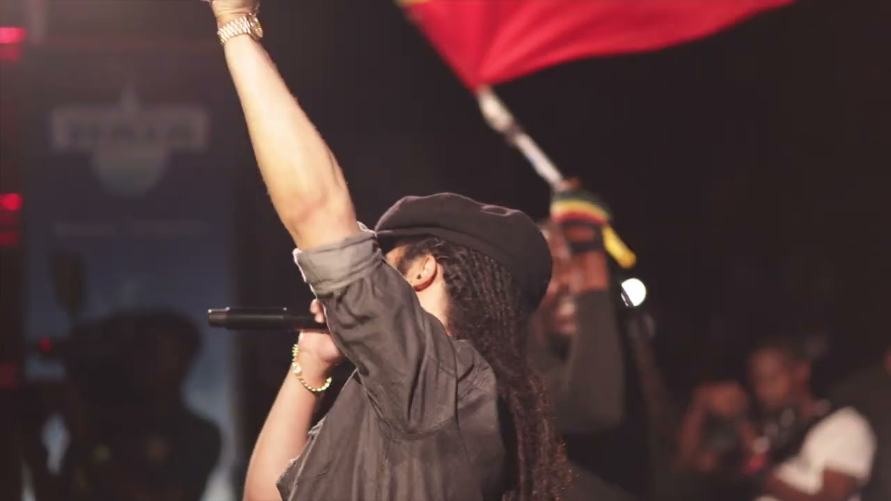 Damian & Stephen Marley Full Performance at Jo Mersa Tribute Celebration