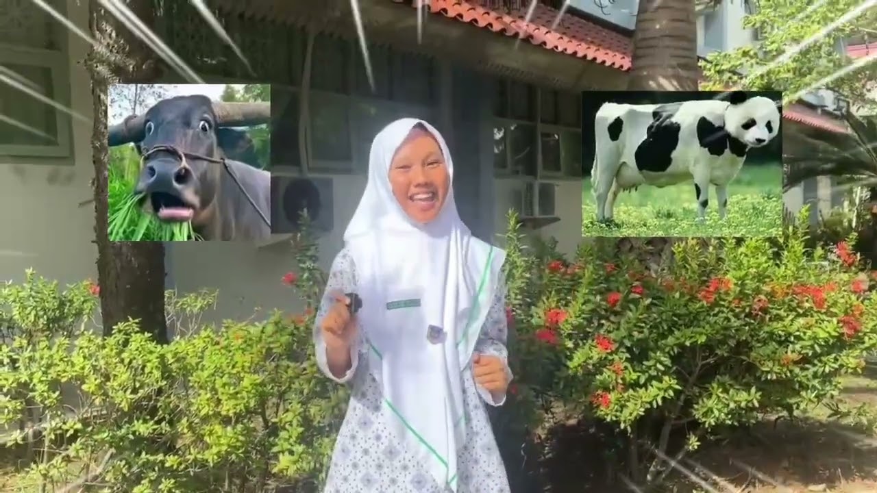 🍬VLOG KEANEKARAGAMAN HAYATI🖇SMAN4BNA