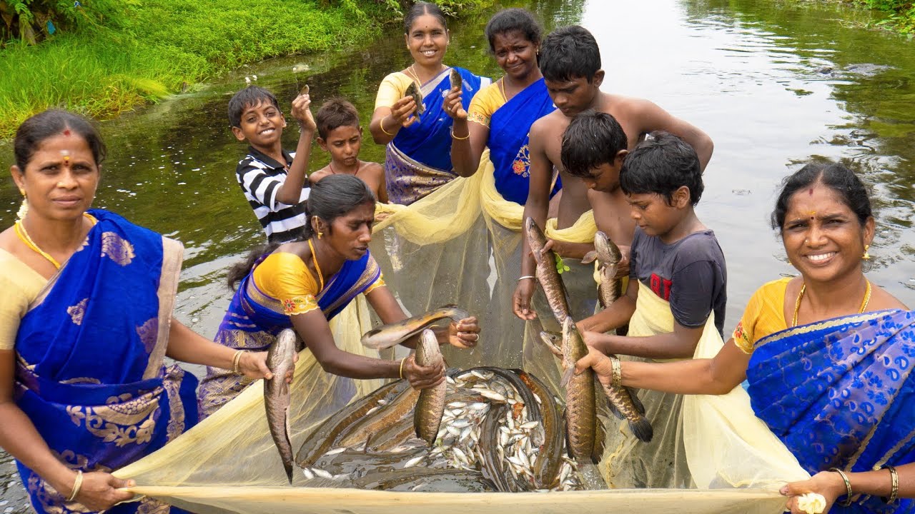 Amazing Big Sneakhead Murrel Fish Catching | Viral Meen | Village Style Fish Catching