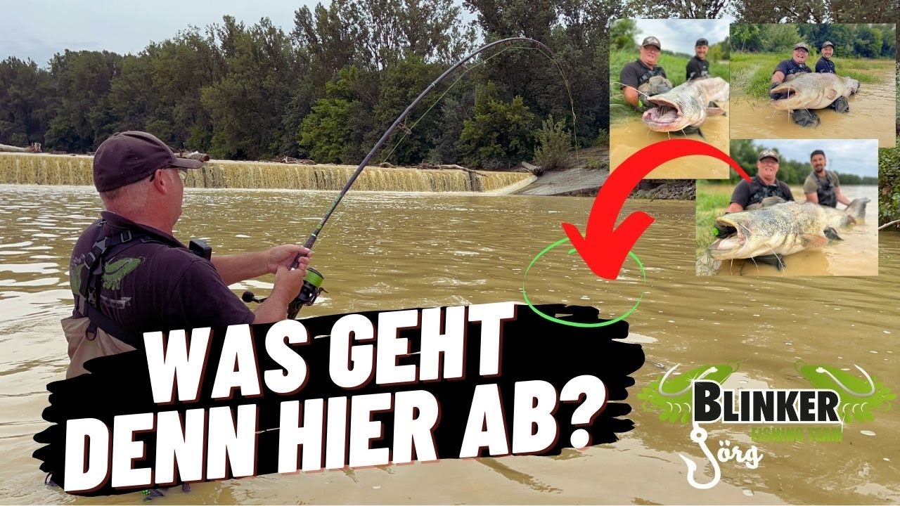 Das #WASSER kocht 🔥 Unglaublich was an diesem PLATZ los ist! #SPINNFISCHEN auf #WELS bei #Hochwasser