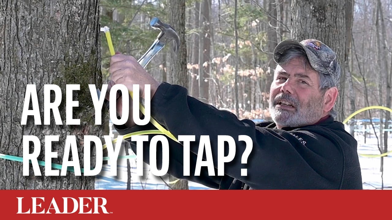 Are You Ready to TAP?