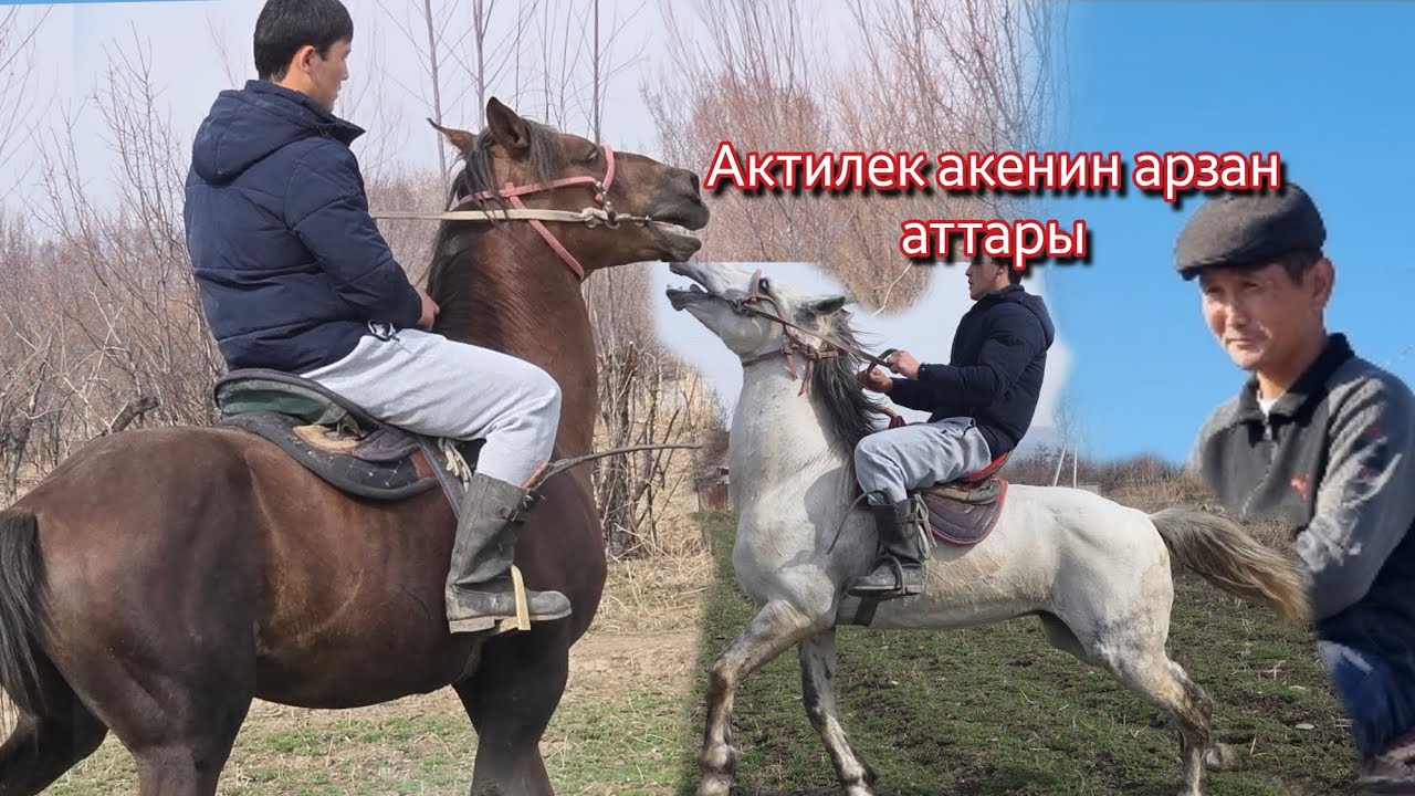 Актилек акедеги АРЗАН АТТАР