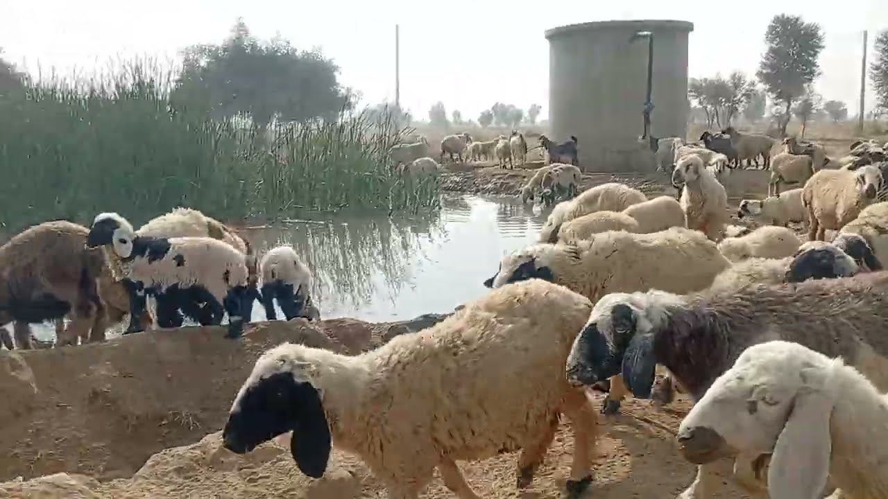 Iran Pakistan border 🛖 khanabadosh 🛖#pakistan 