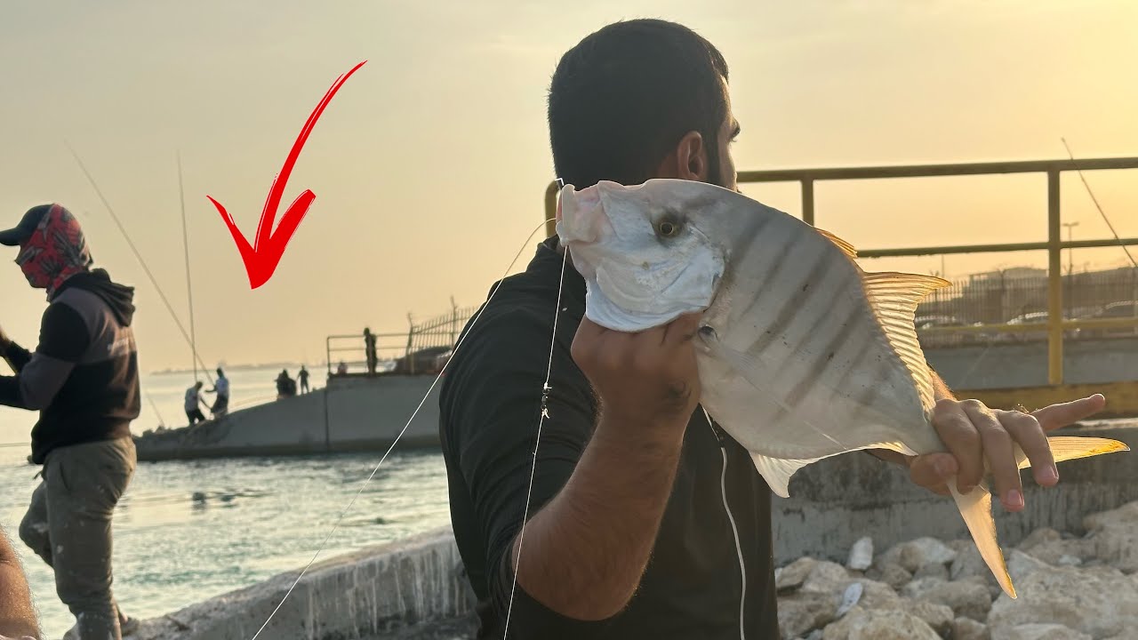 Lugar Na Maraming TREVALLY Kaya Dinadayo