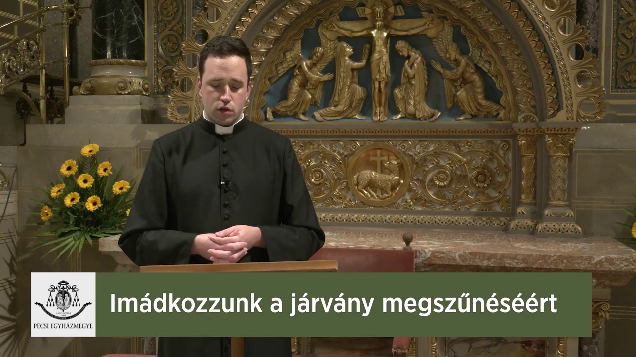 Im&aacute;dkozzunk a j&aacute;rv&aacute;ny megszűn&eacute;s&eacute;&eacute;rt Dallos Tam&aacute;s aty&aacute;val!