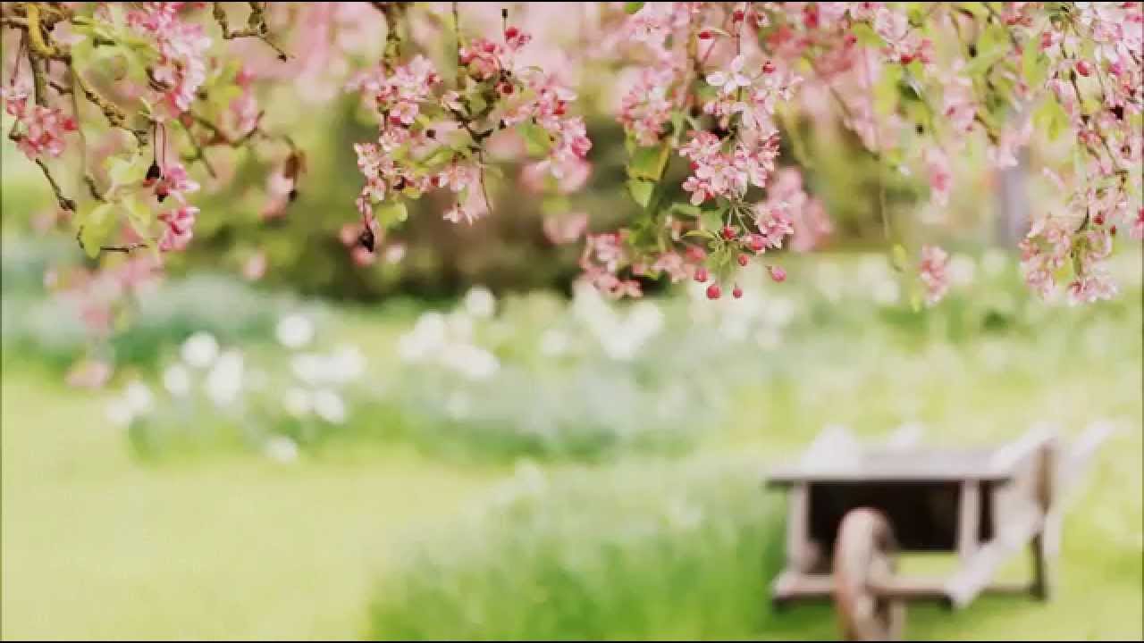 สุดเอื้อม - เท่ห์ อุเทน