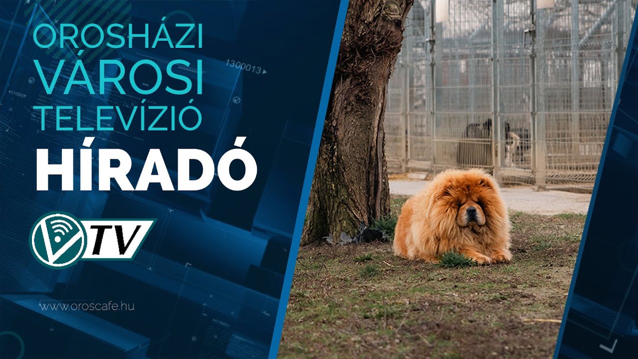 Az Orosházi Városi Televízió híradója - 2026. február 6.