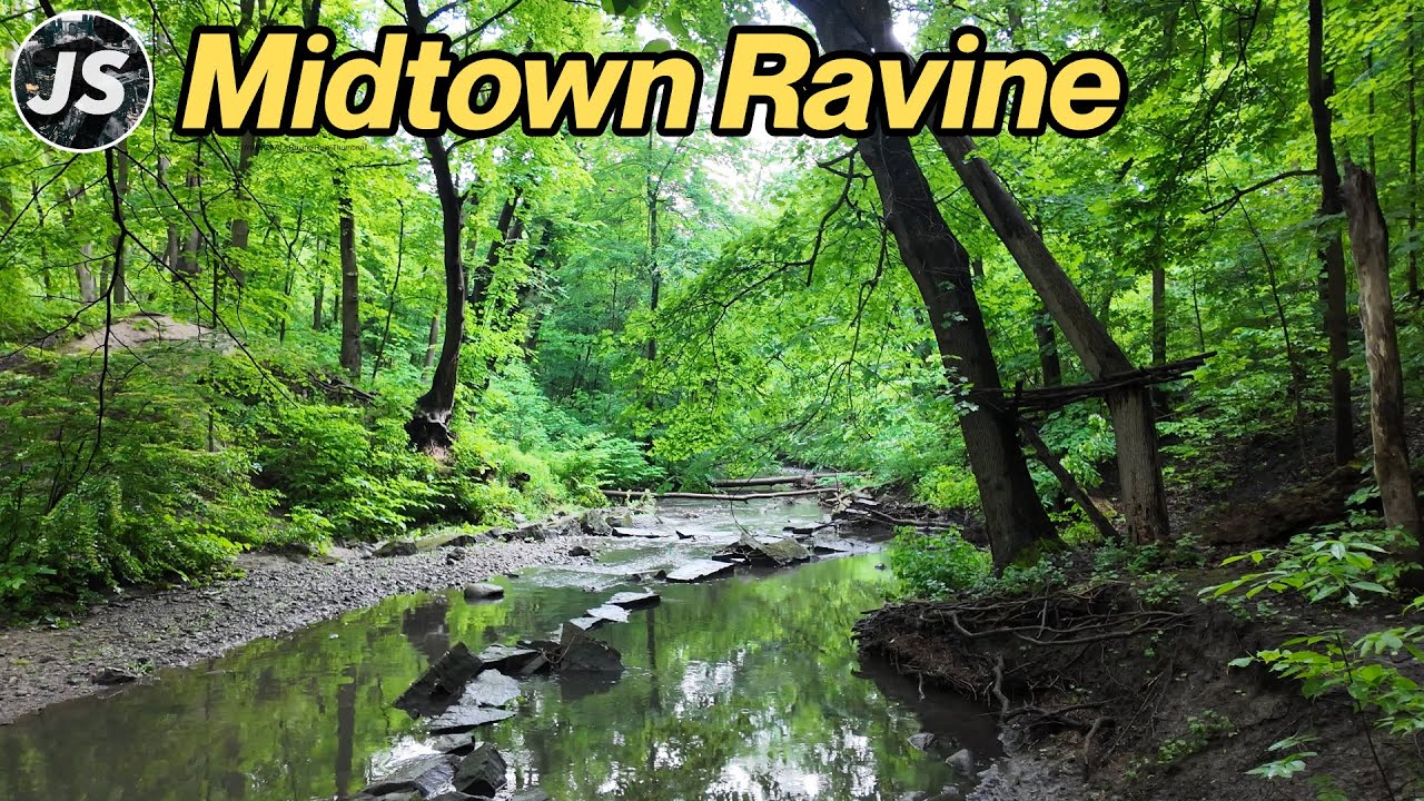 Midtown Ravine Adventure (with no umbrella) | Toronto Walk (May 2024)