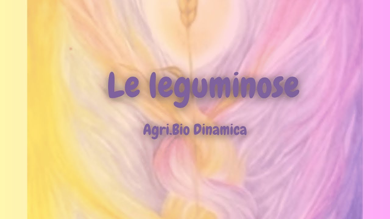 Le leguminose | Ivo Bertaina - 29 -