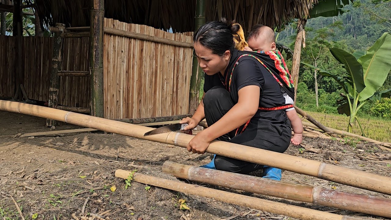 Single Mother Picks Green Beans To Sell At The Market And Fences The Garden/le thi hon