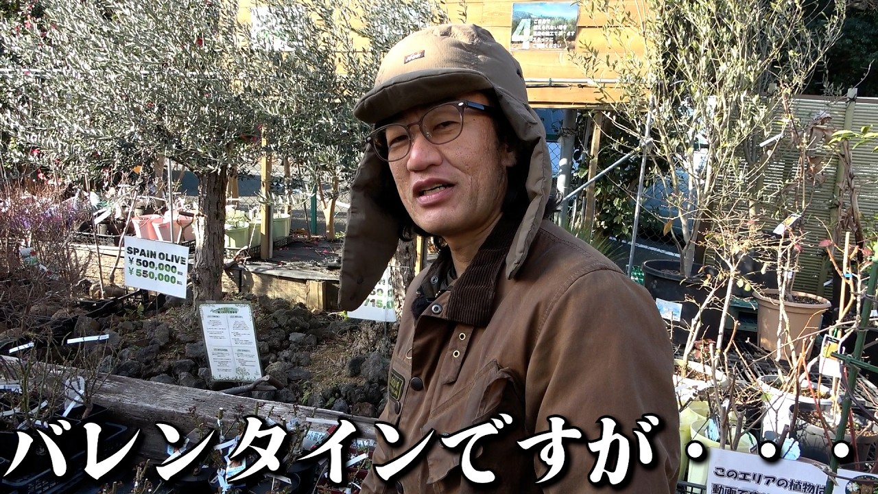 バレンタインは〇〇で！！【カーメン君】【園芸】【ガーデニング】