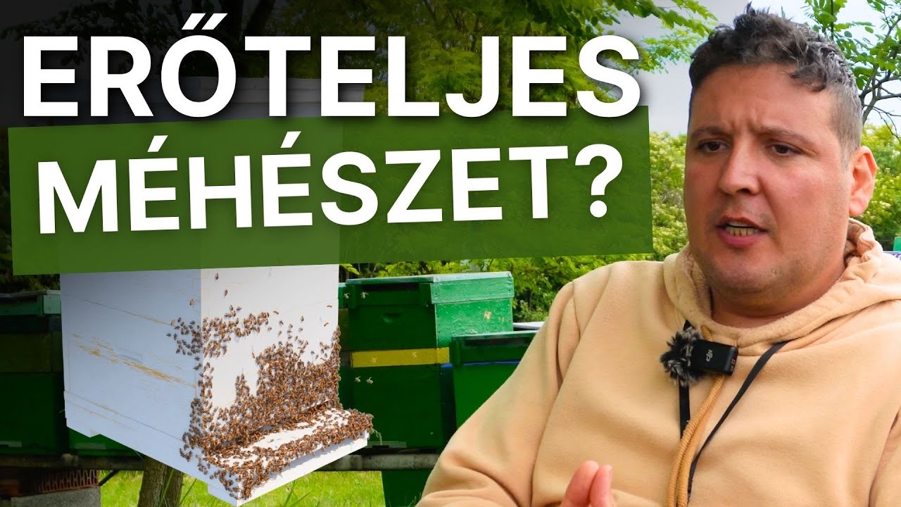 Hogyan Fokozd Méhcsaládod Teljesítményét?