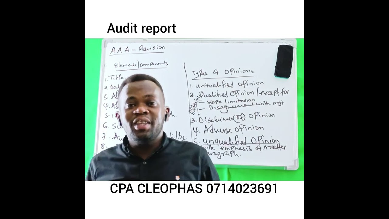 Audit Report
