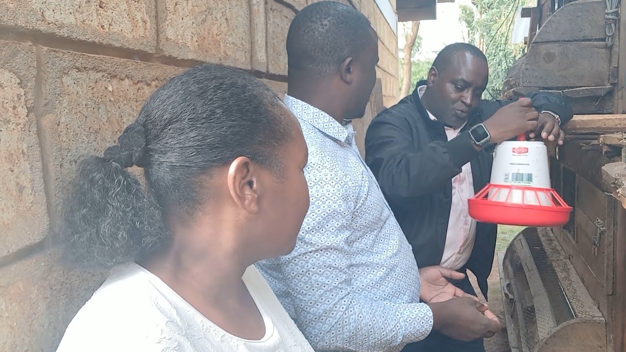 She employed herself in meru now earning over 50000 in a small space bqckyard at her rented house