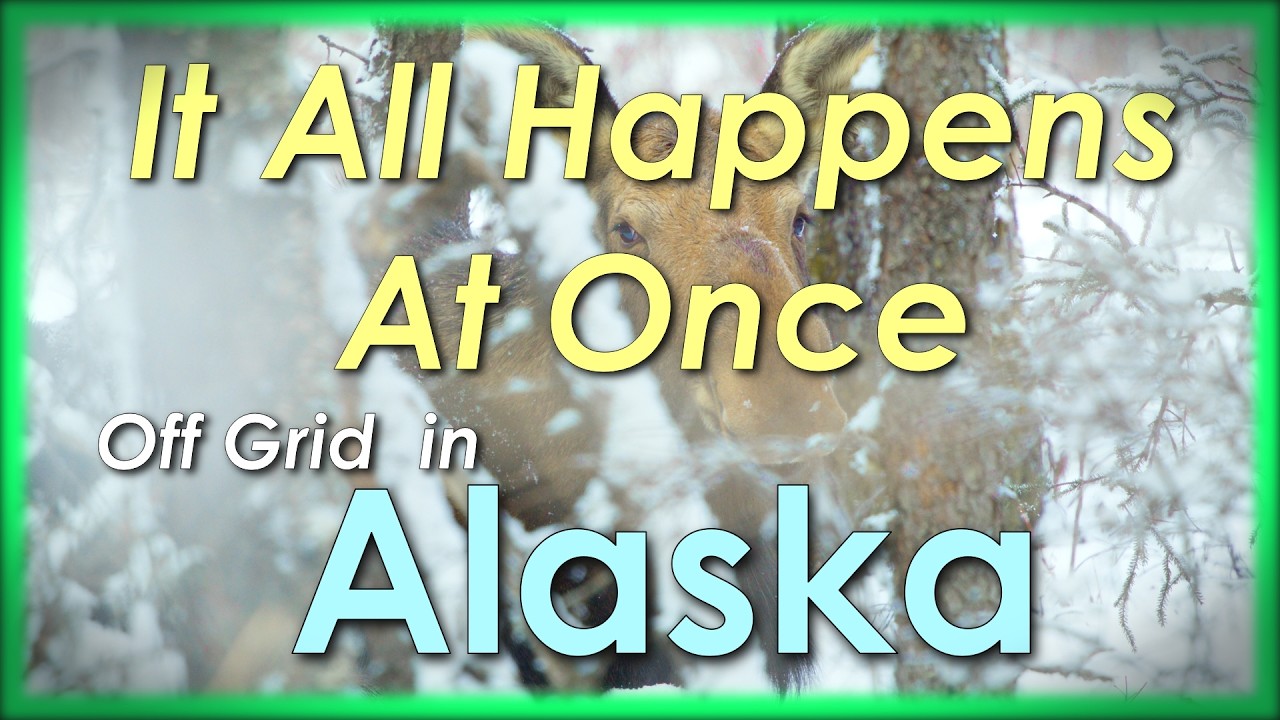 Making Progress On The Cabin And A Ton Of Snow In Alaska Off Grid