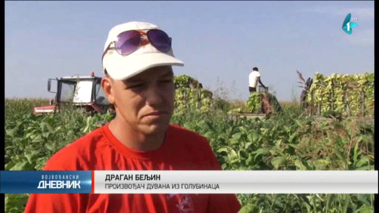 Rod duvana dobar, kvalitet nikad bolji