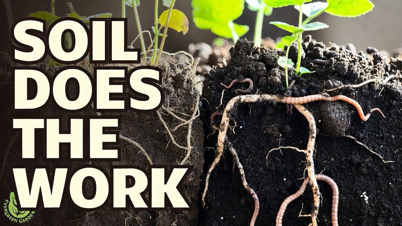 Stop Feeding Plants — Build Soil That Grows Forever