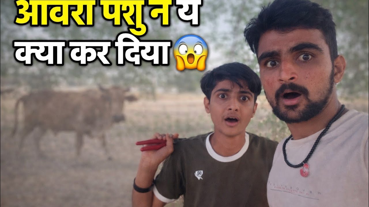 आज बडी मुश्किल हुई पूरे दिन में 😞