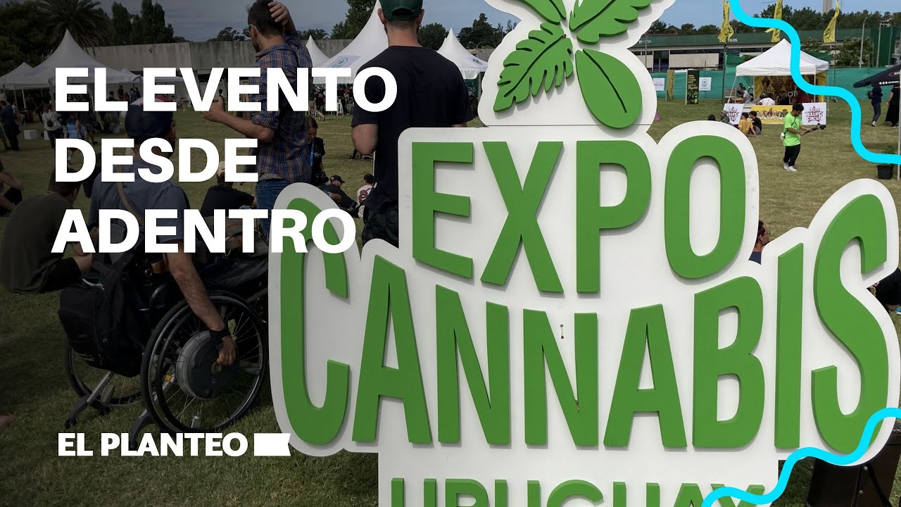 La EXPO CANNABIS URUGUAY 2021 desde adentro - El Planteo