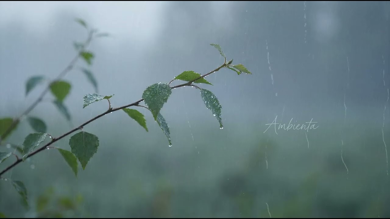 Piano Music To Improve Mood And Emotional Well-Being | Ambienta