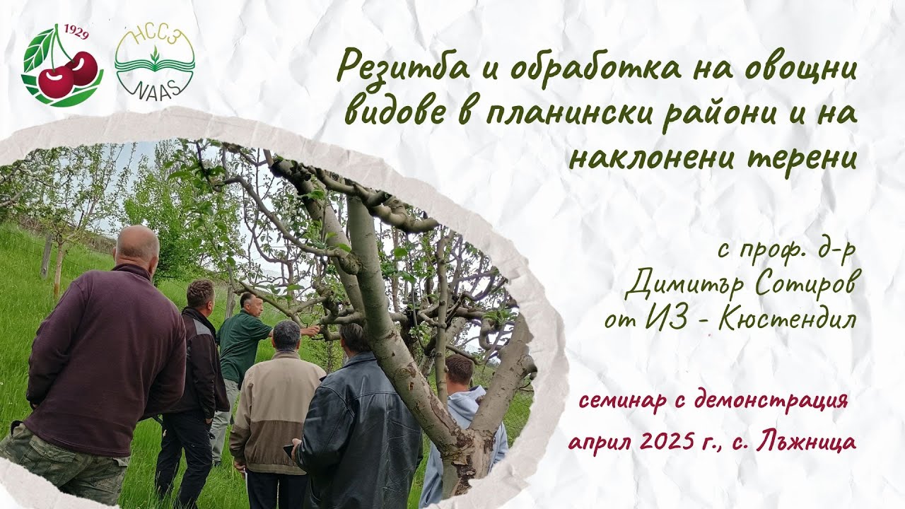 Резитба и обработка на овощни видове в планински райони и на наклонени терени