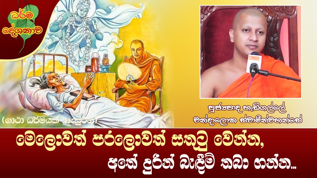Ven Hadigalle Chandaloka Thero 2021-10-25 (මෙලොවත් පරලොවත් සතුටු වෙන්න, අතේ දුරින් බැඳීම් තබා ගන්න)