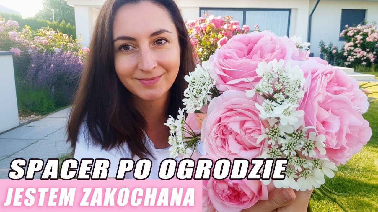 Czerwiec spacer po moim ogrodzie różanym, rabaty z bylinami i kwiatami jednorocznymi #ogród #ogrody