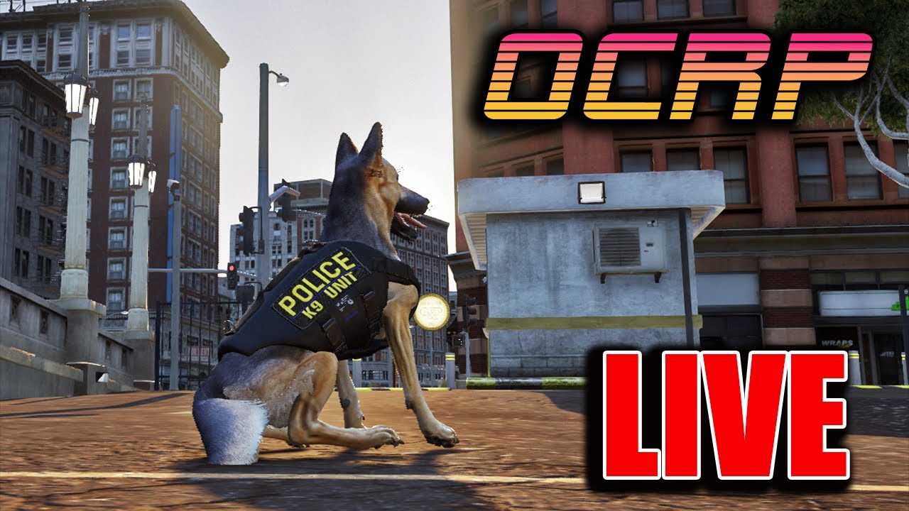 POLICE K9 OCRP testing | Stream VOD