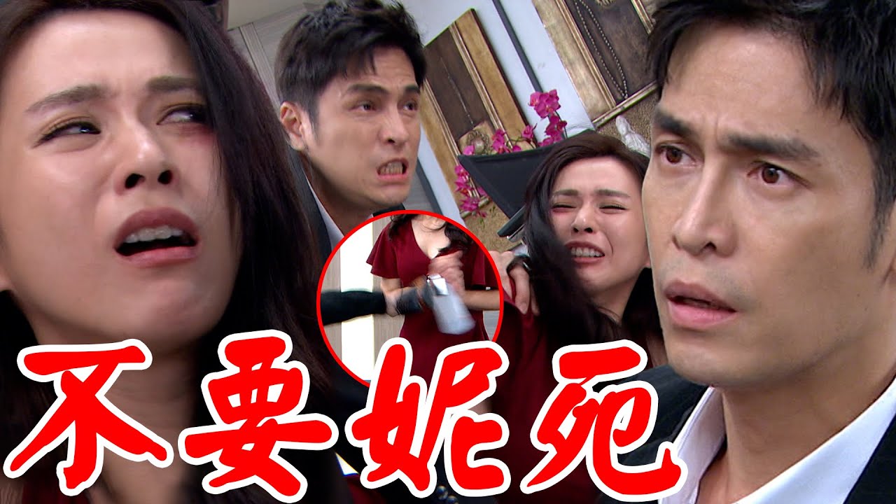 一家團圓│EP168 莫妮卡哭吼想不開 自在苦勸挽回一條命 Family Reunion│ Vidol.tv