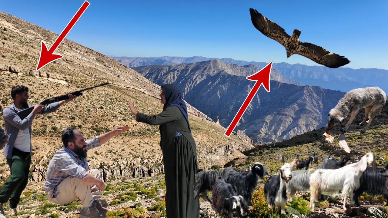 Habib's Mountain Journey: Crossing the Historical Shelters of Nomads to bring in Snow