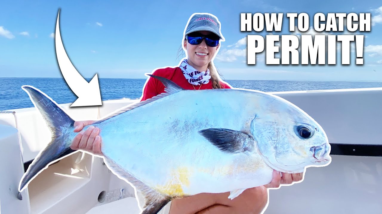 HOW TO CATCH PERMIT SPAWNING on the Wrecks - The Ultimate Game Fish