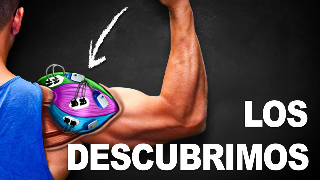 Probamos 17 ejercicios de hombro, estos son los mejores 💪🔥