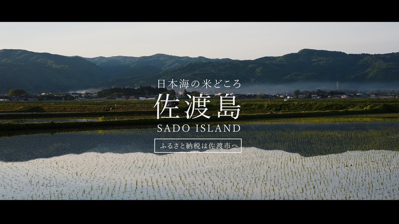 【佐渡市ふるさと納税】おいしい佐渡米プロモーションムービー