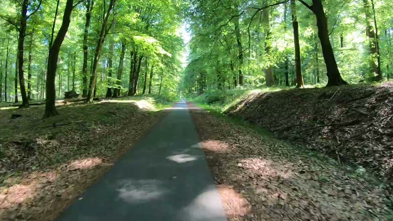 Silkeborg - Den Genfundne Bro Bryrup Banesti Regional cykelrute 31