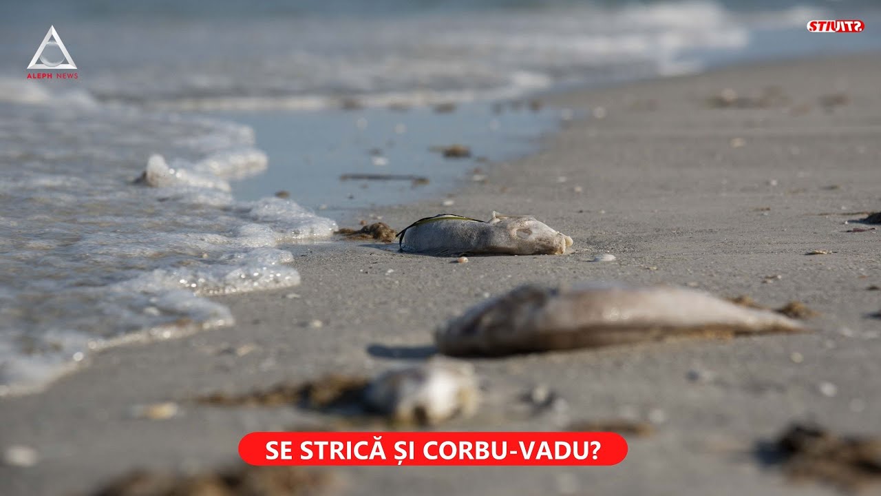 Satul pescăresc de la Corbu are 150 de vile de lux. USR contestă proiectul imobiliar
