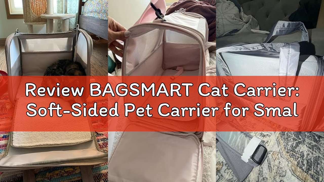 Review BAGSMART Cat Carrier: Soft-Sided Pet Carrier for Small Medium Cats Dogs Puppy Quilted Collaps