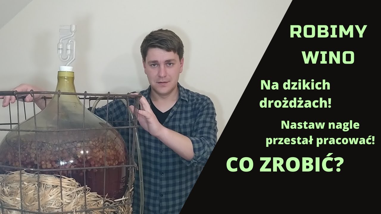 Robimy domowe wino na dzikich drożdżach. Nastaw przestał pracować! Co zrobić?