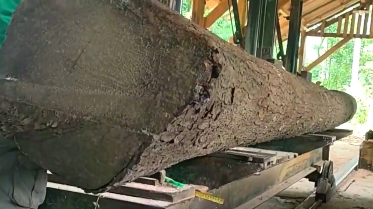 The process of splitting beautiful long logs for truck bed sheet material 