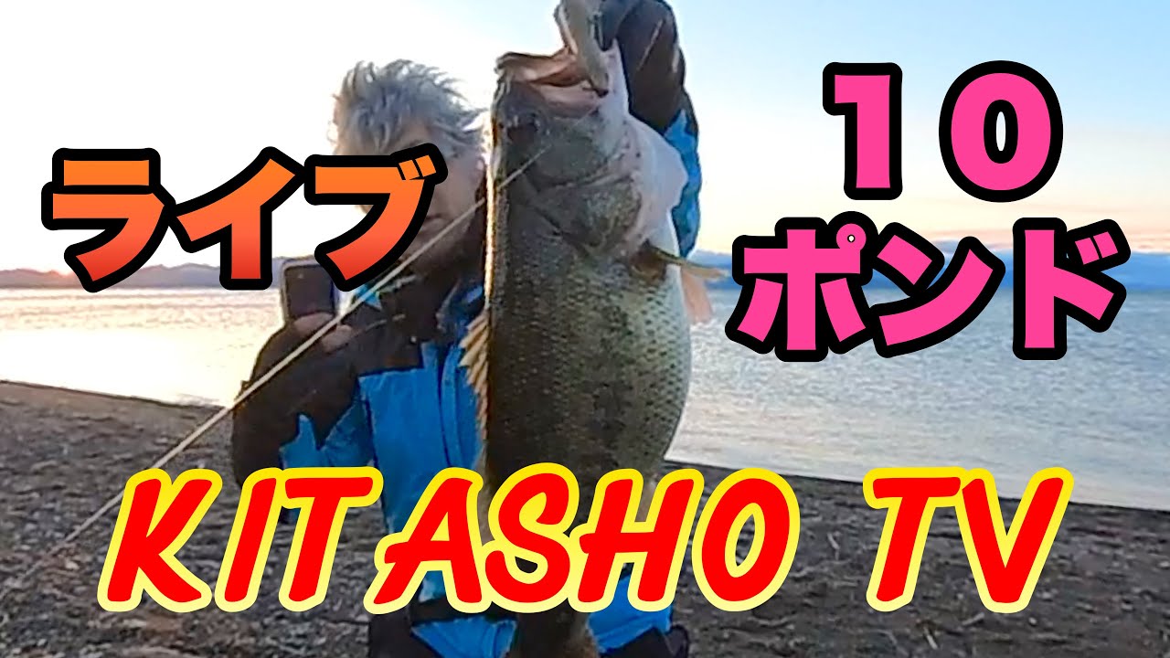 【琵琶湖バス釣り】おかっぱりで朝イチライブ 10lb来ちゃった #10ポンド #ロクマル #琵琶湖