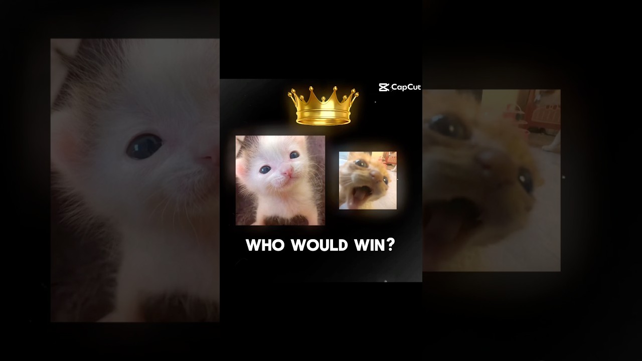 Amen for team Jesus 🙏🥰