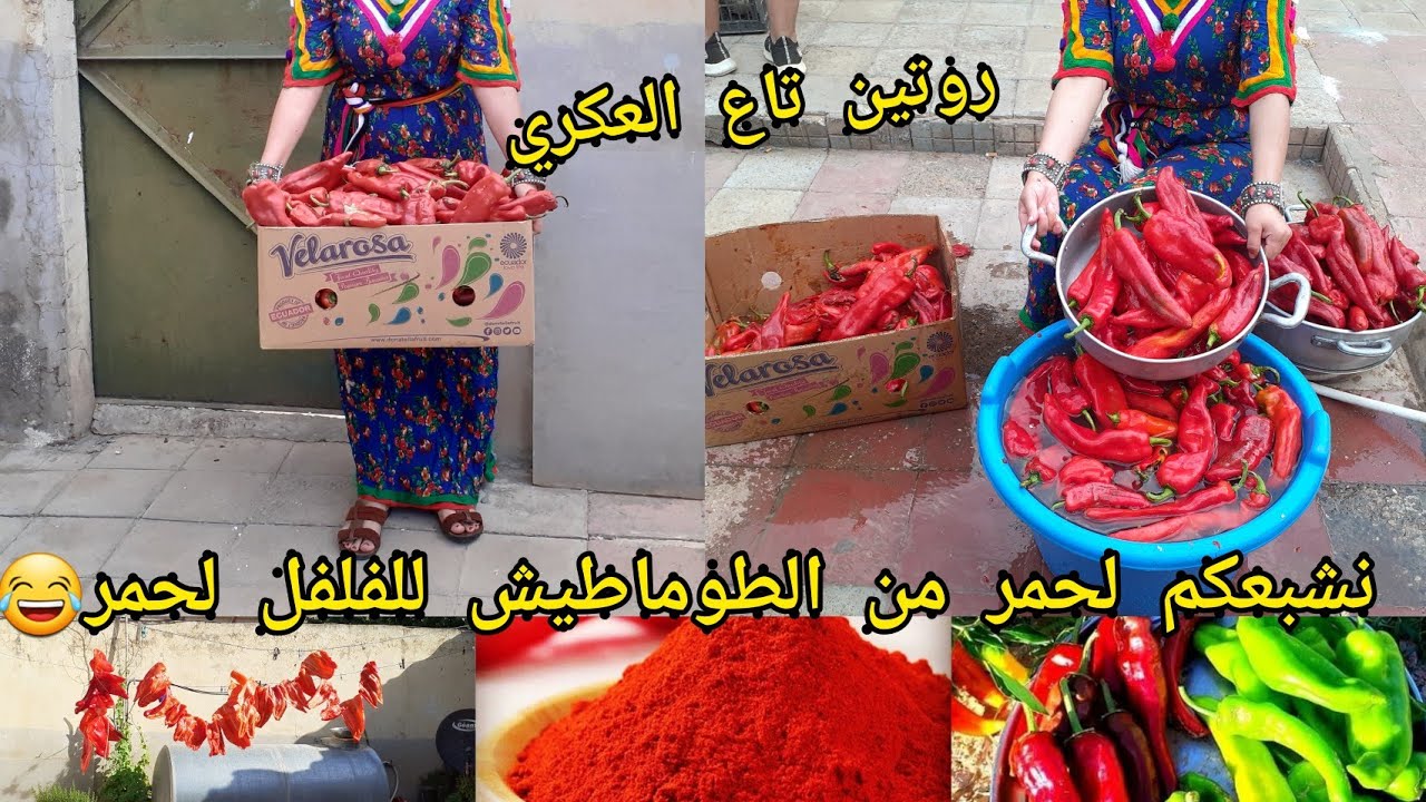 العولة تتعلموها معايا👌وعلاش تشريه من برا🤔حبيباتي مخسرتو والو رانا في وقتو 🌶فلفل عكري بالطبع