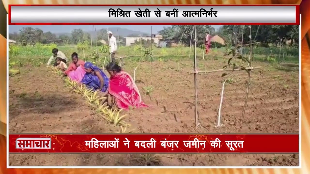 हजारीबाग में आत्मनिर्भर भारत की मिसाल। महिलाओं ने बंजर जमीन को बनाया उपजाऊ । empowerment agriculture