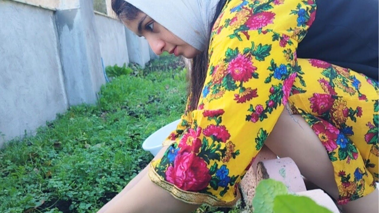 Cozy Winter Day in an Iranian Village | Cooking Saffron Chicken Tahchin in the Hyrcanian Forest