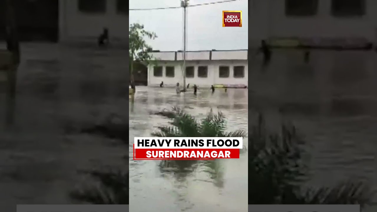 Heavy Rain Triggers Flooding Across Surendranagar Villages | Gujarat News | Monsoon