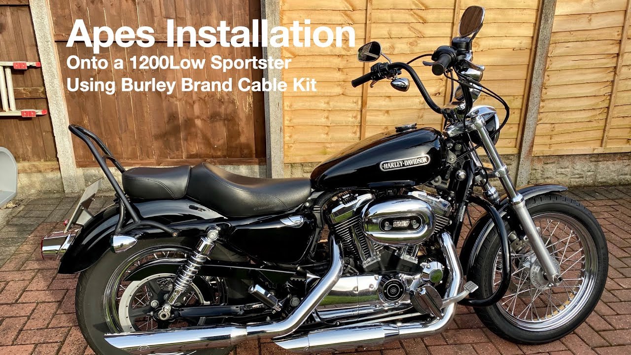 Ape Bars install on 1200 Low Sportster