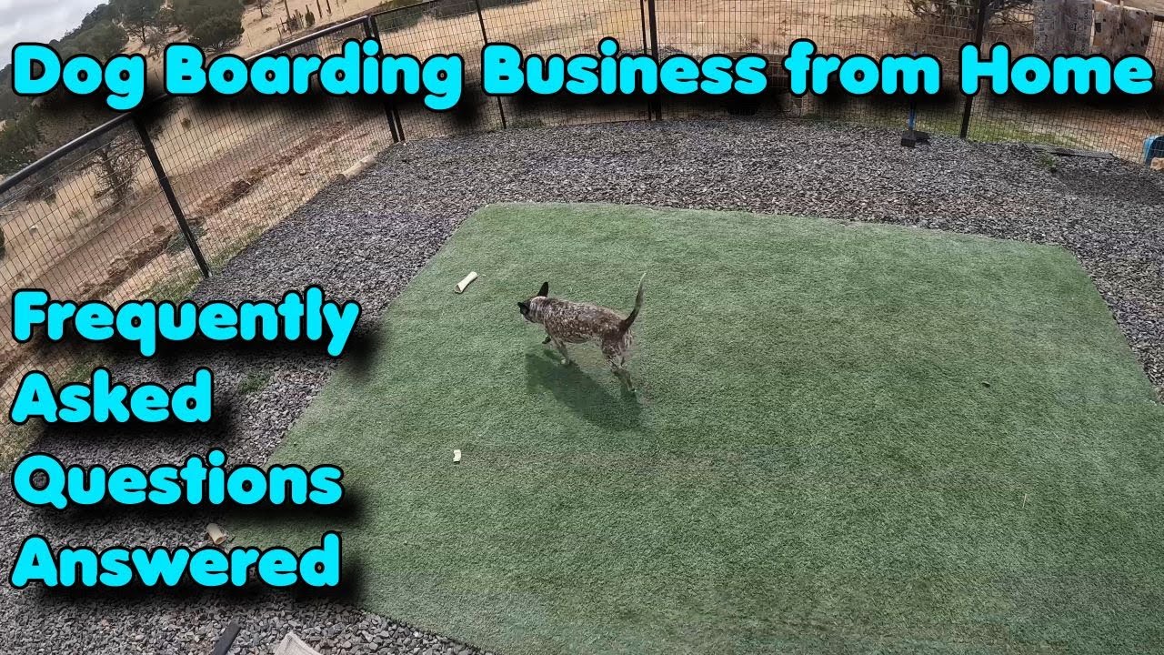 Dog boarding business from home. Frequently asked questions ANSWERED!