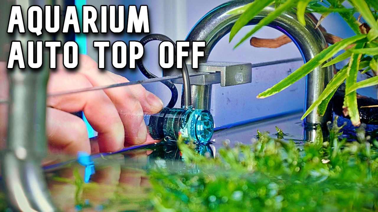 Aquarium Auto Top Off System Setup and First Impressions