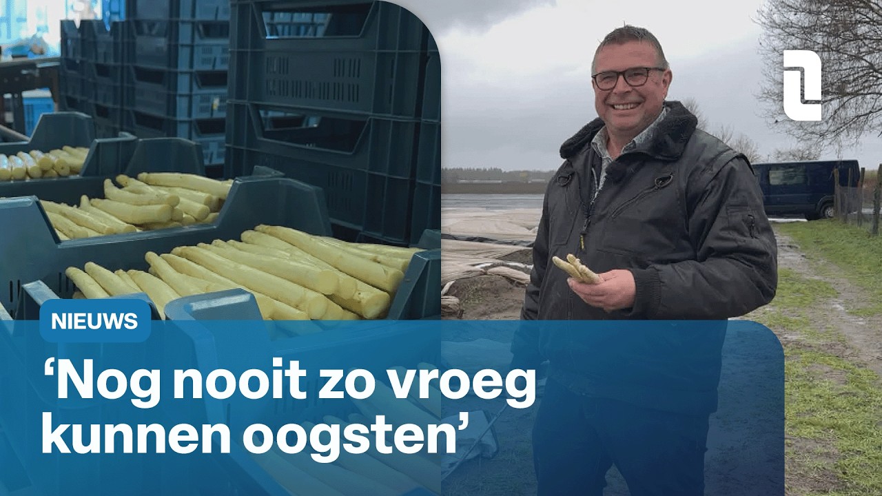Asperges zijn uitzonderlijk vroeg | L1 Nieuws