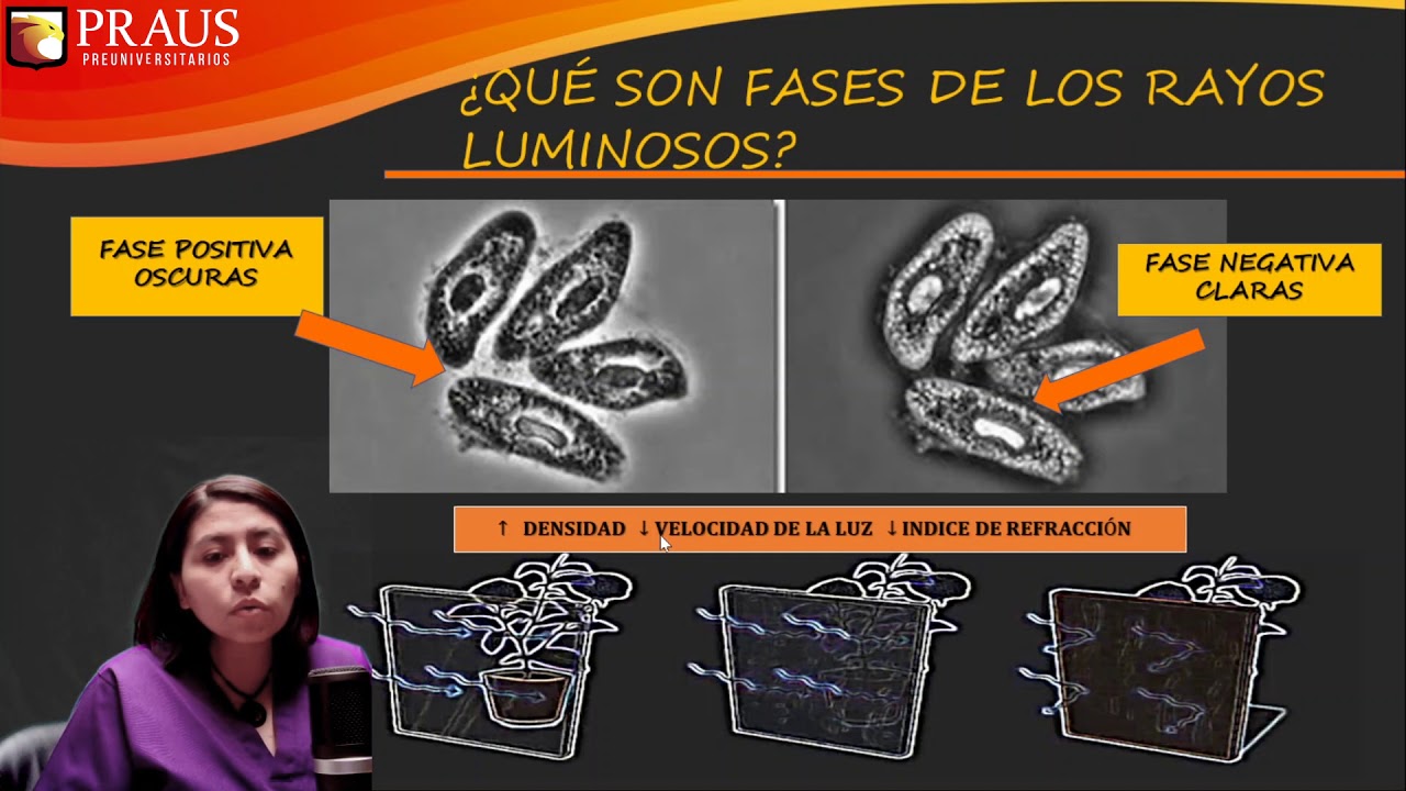 MICROSCOPIO DE CONTRASTE DE FASES